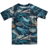 Molo - Neptune Short Sleeve Swim Top - Amazing Sharks