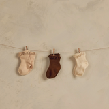 Rylee & Cru - Lace Trim Socks - Multi (Chocolate, Ivory, Shell)