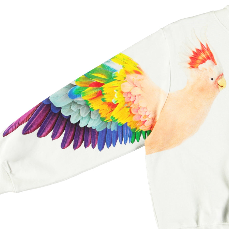 Molo - Marge Sweater - Magic Parrots