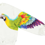 Molo - Marge Sweater - Magic Parrots