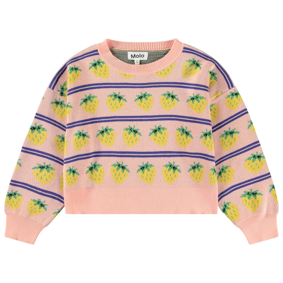 Molo - Gerrie Sweater - Nature Fruits