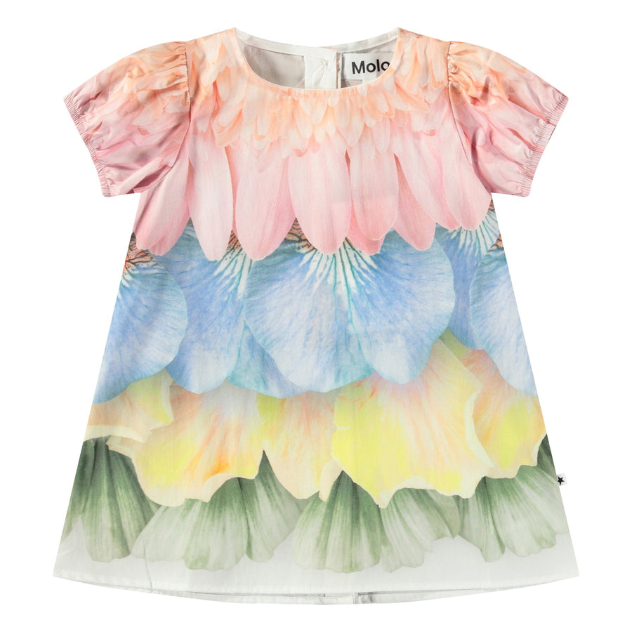 Molo - Caja Dress - Petal Rainbow