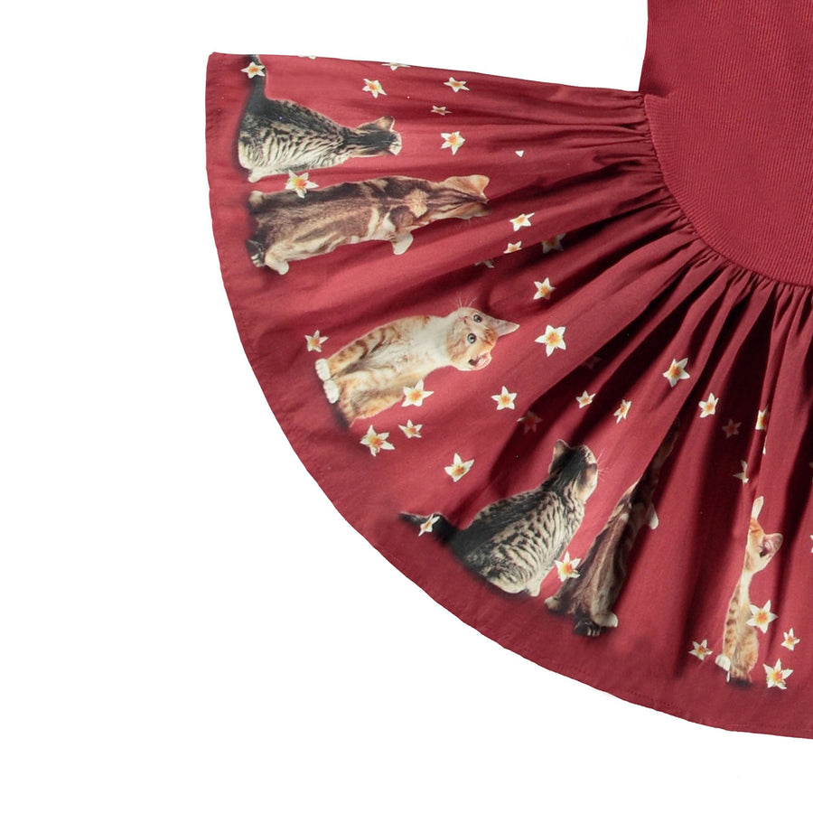 Molo - Candi Dress - Velvety Kitten