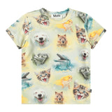 Molo - Easy Tee - Smiling Cubs