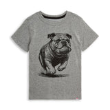 Appaman - Graphic Short Sleeve - Heather Grey