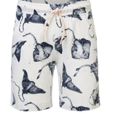 Noppies - Daytona All Over Print - Whisper White