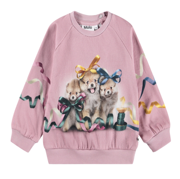 Molo - Disc Sweatshirt - Ribbon Play