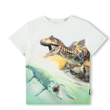 Molo - Roxo - Seaside Dinos