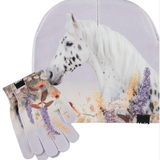 Molo - kaya - Meadow Horse