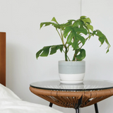 Kinto - 193 Plant Pot 140mm - Blue Grey