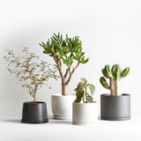 Kinto - 193 Plant Pot 140mm - Beige